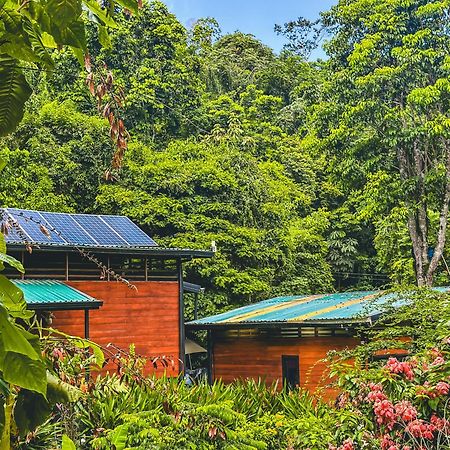 Selva Madre Eco-Sanctuary Aparthotel กาอุยตา ภายนอก รูปภาพ