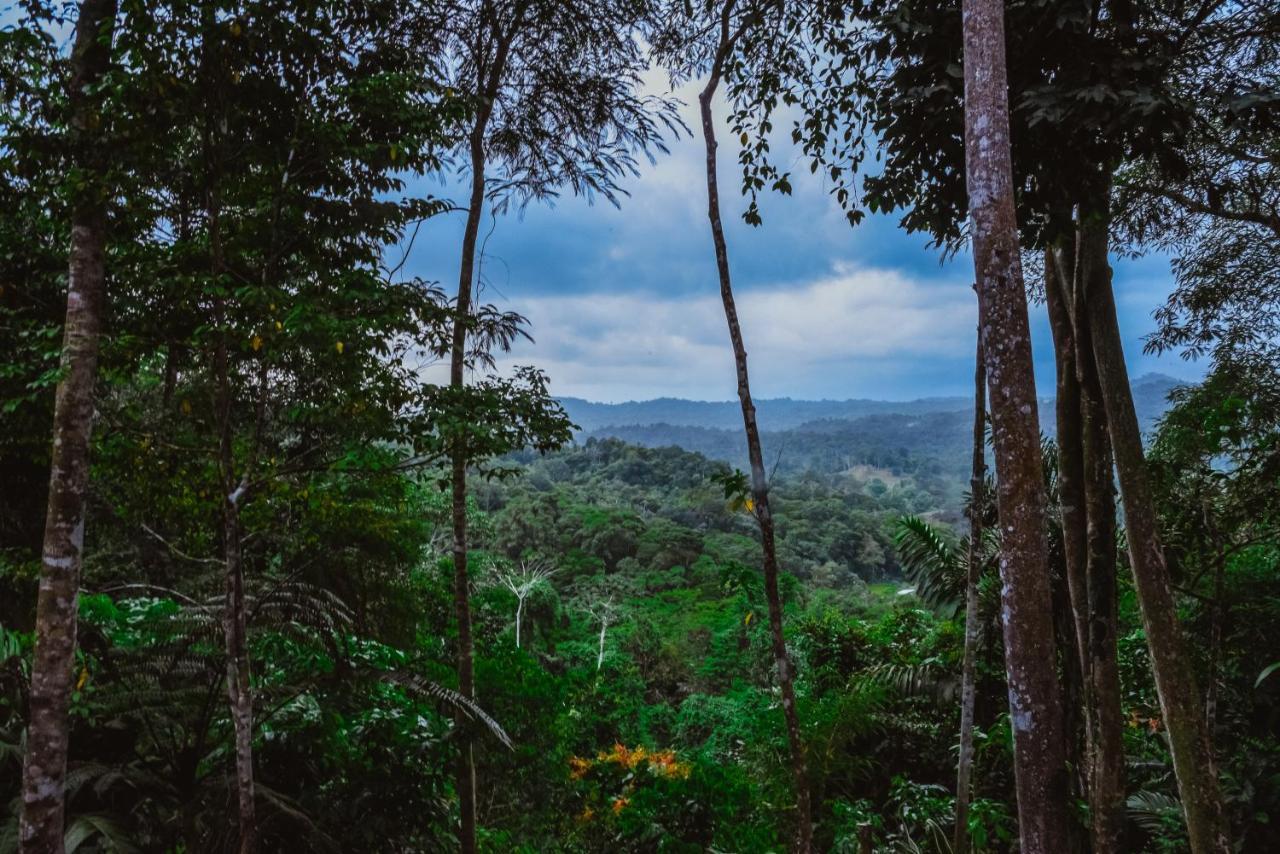 Selva Madre Eco-Sanctuary Aparthotel กาอุยตา ภายนอก รูปภาพ