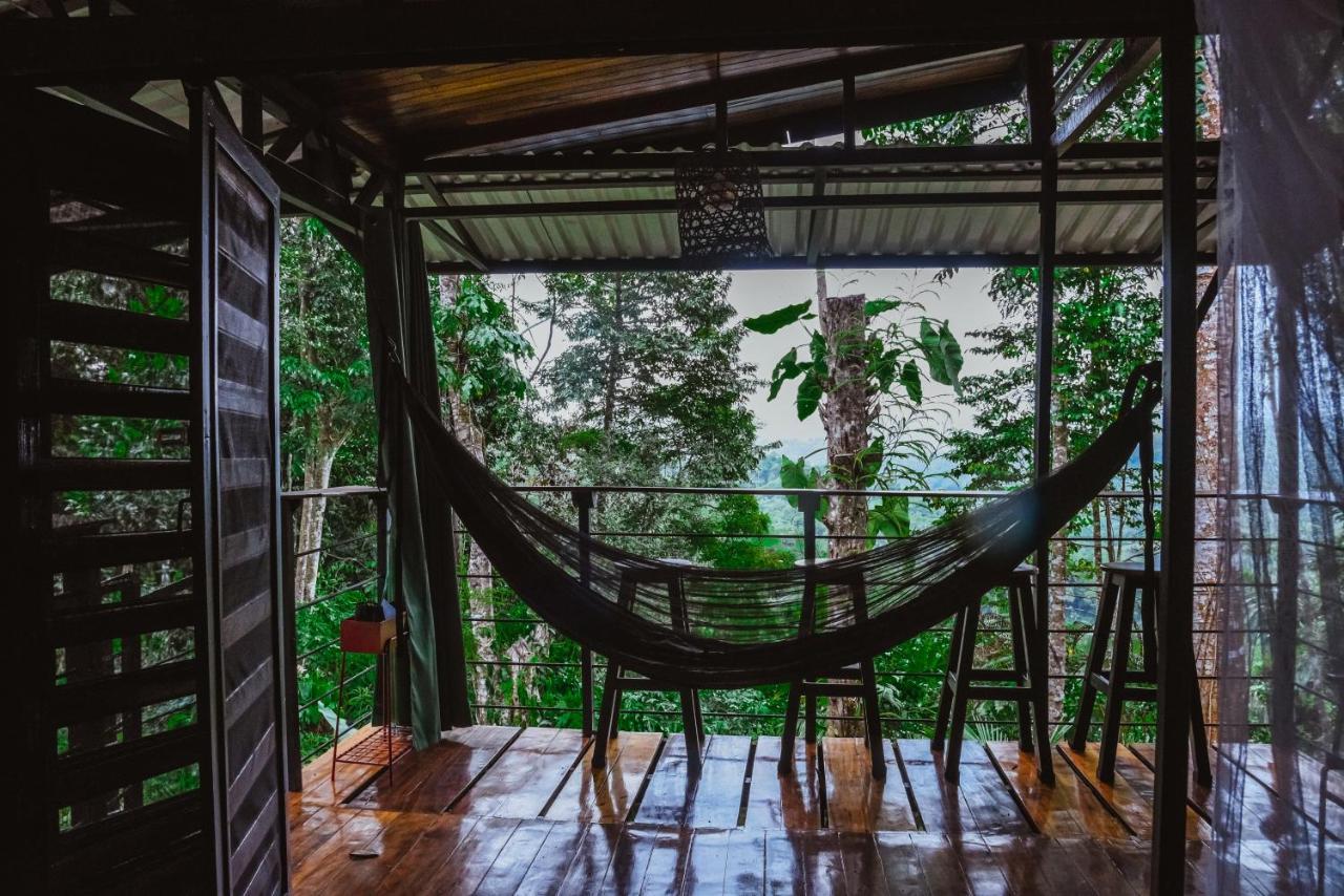 Selva Madre Eco-Sanctuary Aparthotel กาอุยตา ภายนอก รูปภาพ