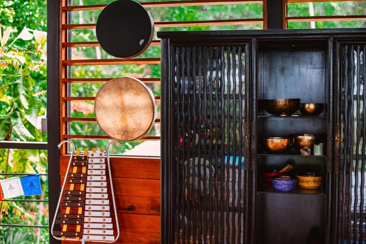 Selva Madre Eco-Sanctuary Aparthotel กาอุยตา ภายนอก รูปภาพ