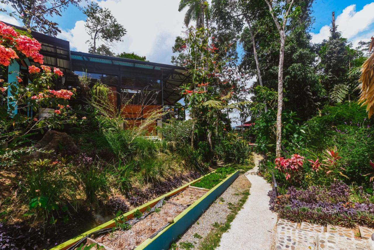 Selva Madre Eco-Sanctuary Aparthotel กาอุยตา ภายนอก รูปภาพ