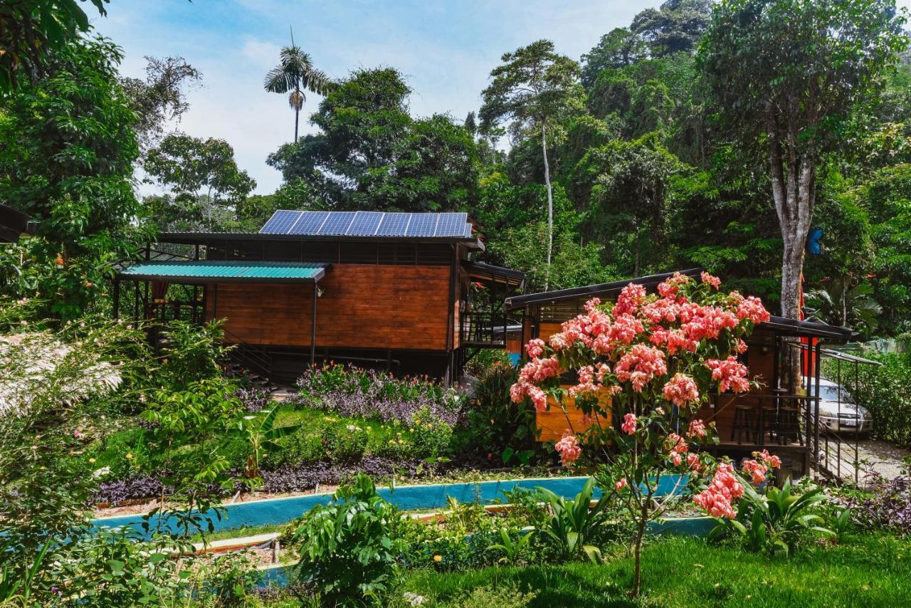 Selva Madre Eco-Sanctuary Aparthotel กาอุยตา ภายนอก รูปภาพ