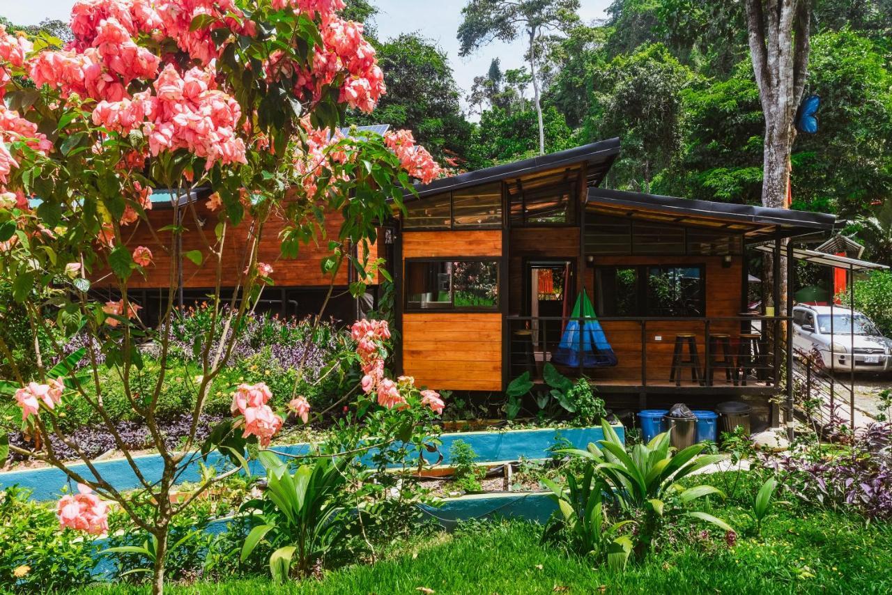 Selva Madre Eco-Sanctuary Aparthotel กาอุยตา ภายนอก รูปภาพ