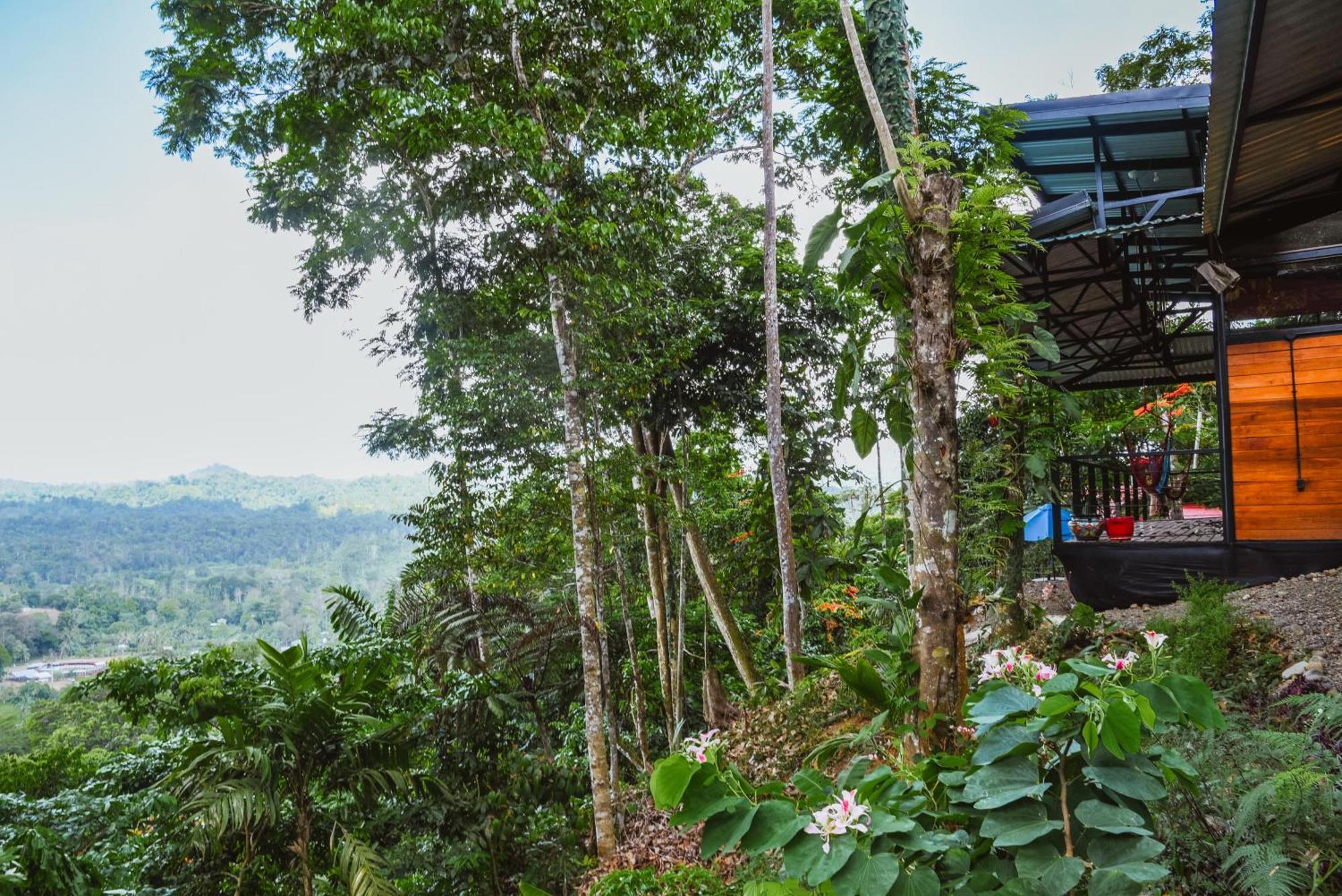Selva Madre Eco-Sanctuary Aparthotel กาอุยตา ภายนอก รูปภาพ