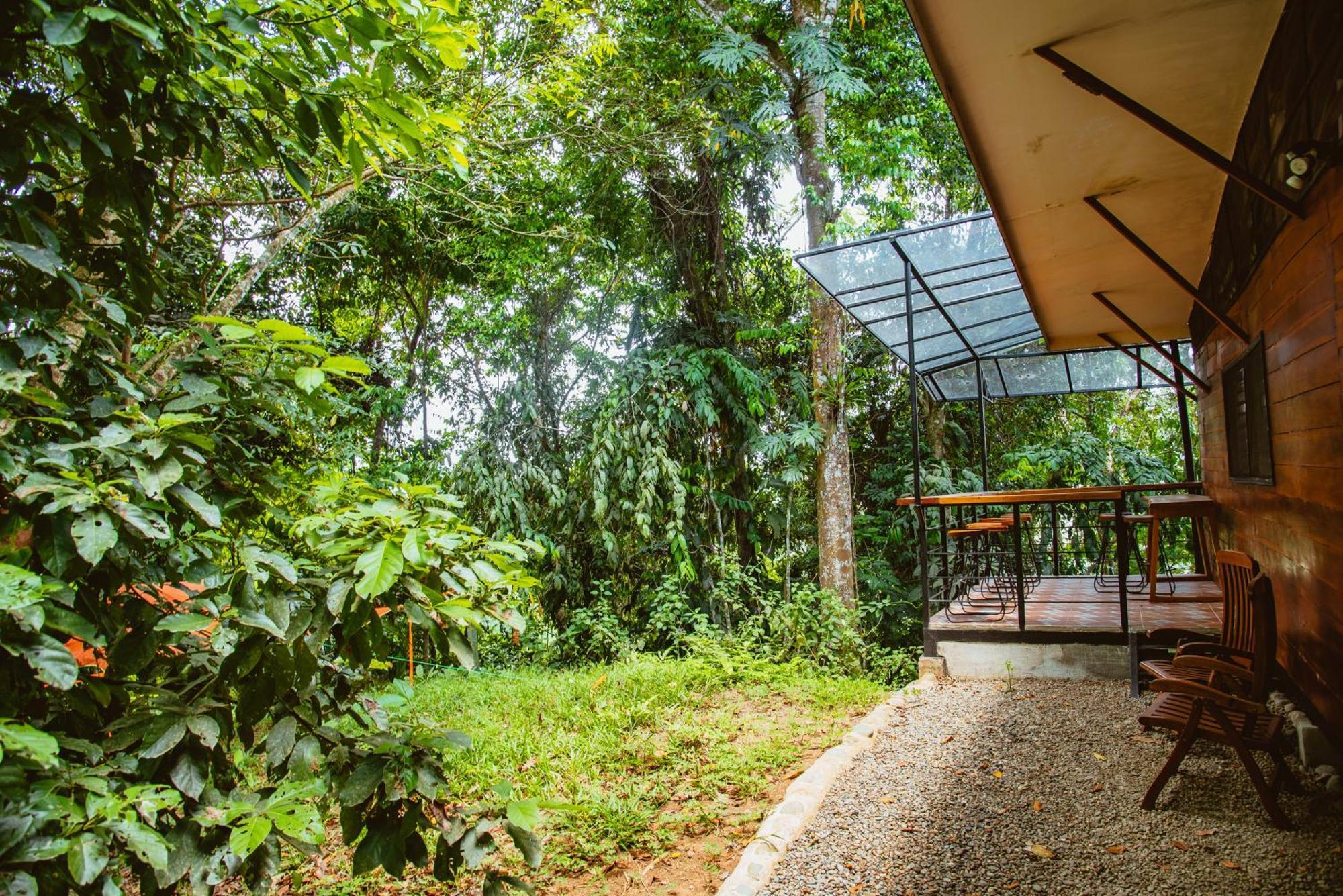 Selva Madre Eco-Sanctuary Aparthotel กาอุยตา ภายนอก รูปภาพ