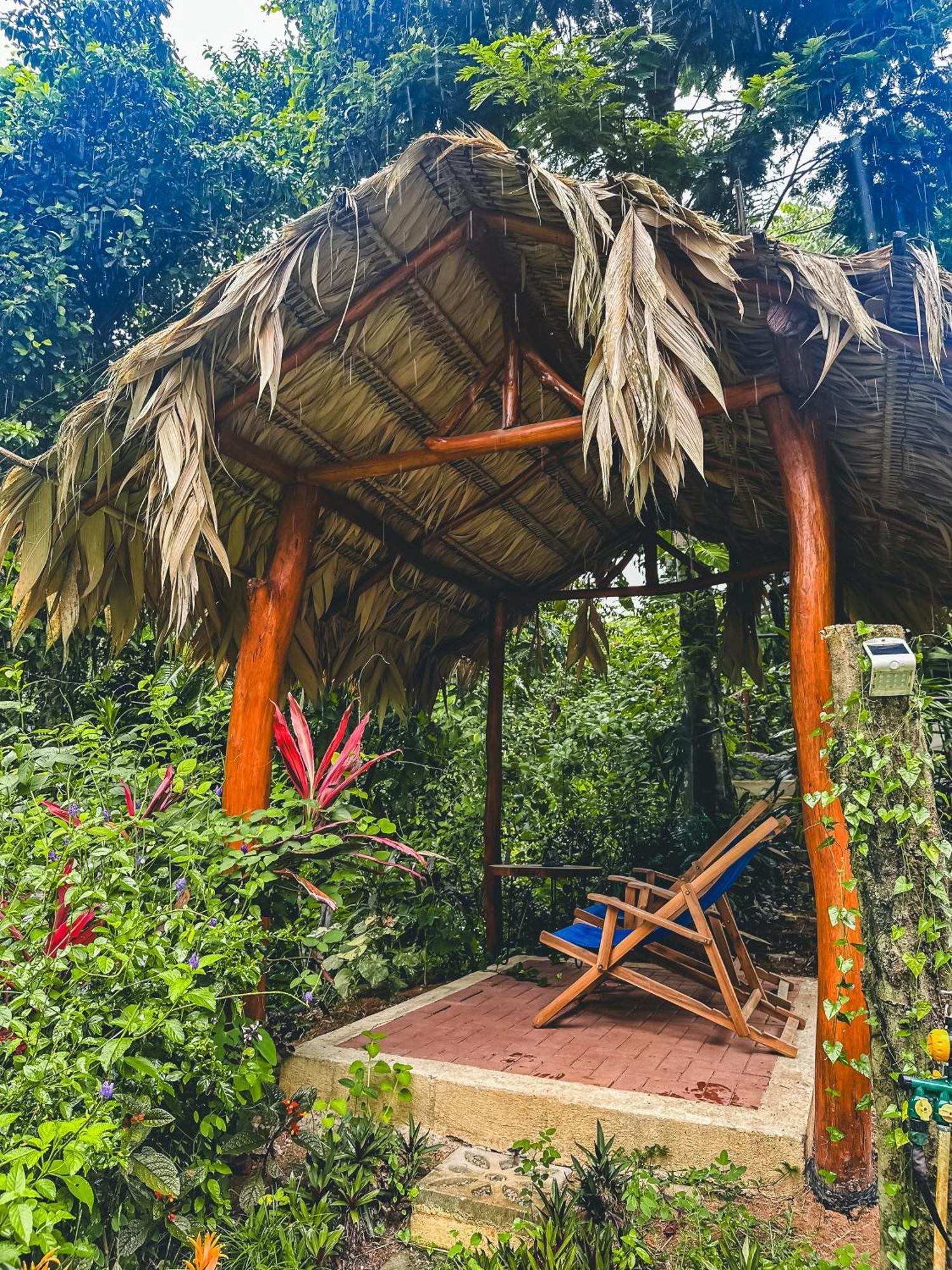 Selva Madre Eco-Sanctuary Aparthotel กาอุยตา ภายนอก รูปภาพ