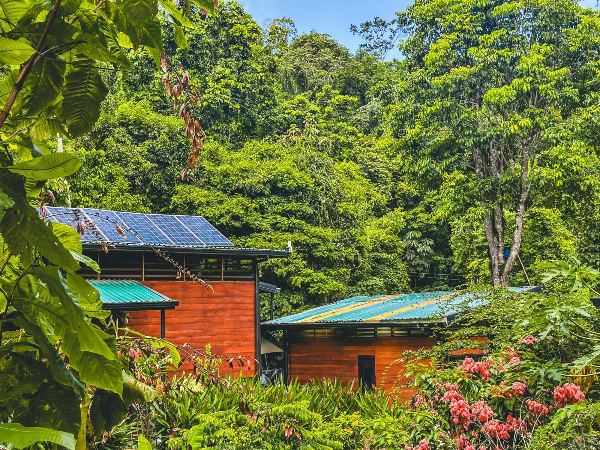 Selva Madre Eco-Sanctuary Aparthotel กาอุยตา ภายนอก รูปภาพ