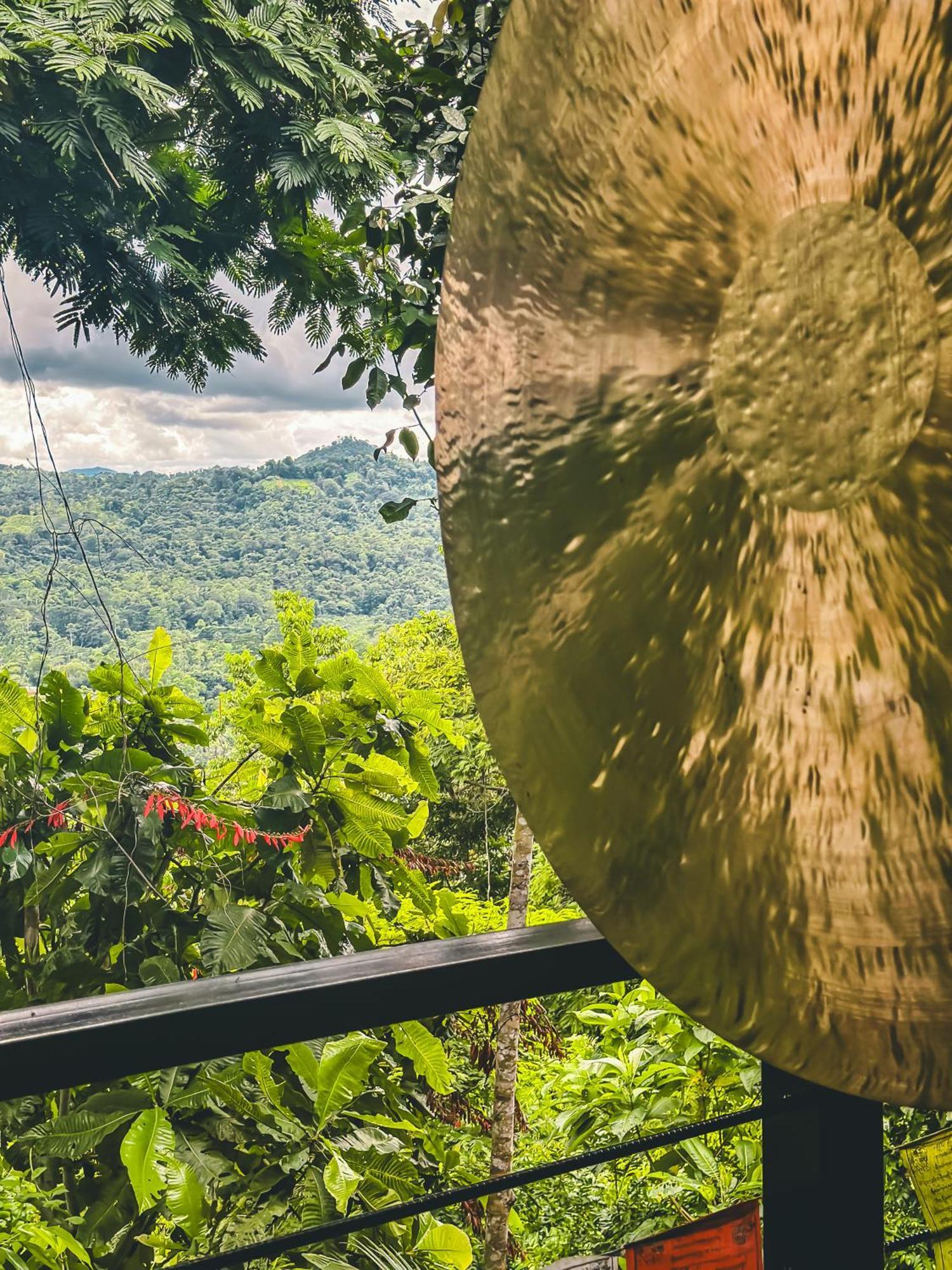 Selva Madre Eco-Sanctuary Aparthotel กาอุยตา ภายนอก รูปภาพ