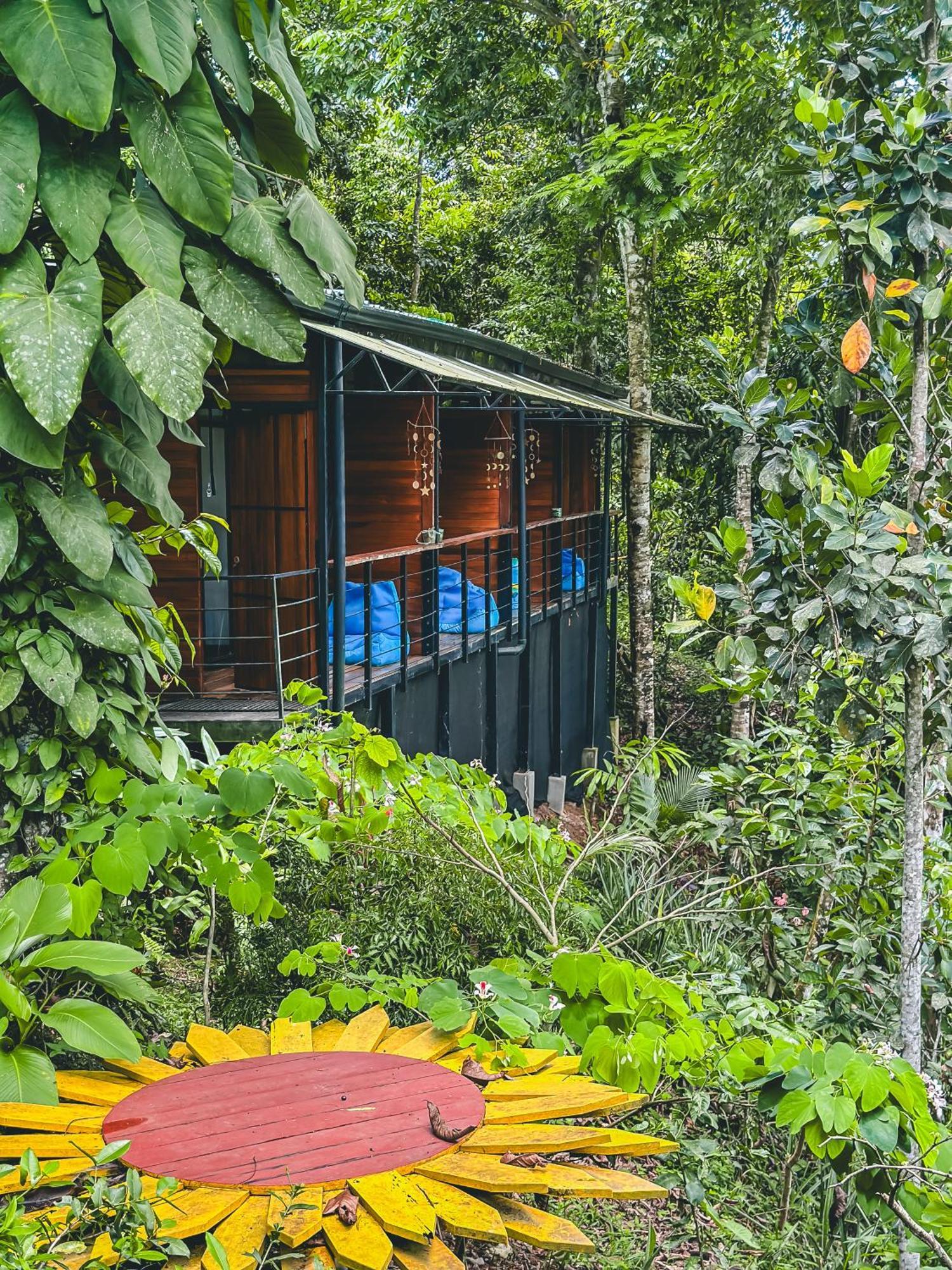 Selva Madre Eco-Sanctuary Aparthotel กาอุยตา ภายนอก รูปภาพ